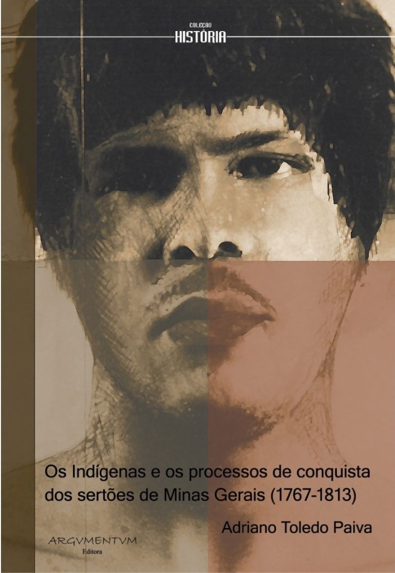 Indígenas e os Processos de Conquista dos Sertões de Minas Gerais (1767-1863), Os