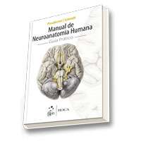 MANUAL DE NEUROANATOMIA HUMANA - GUIA PRATICO