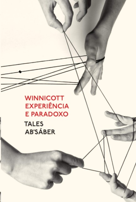 Winnicott: Experiência E Paradoxo: Uma Apresentação Sobre A Teoria De Donald Winnicott