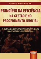 PRINCIPIO DA EFICIENCIA NA GESTAO E NO PROCEDIMENTO JUDICIAL - A BUSCA NA S